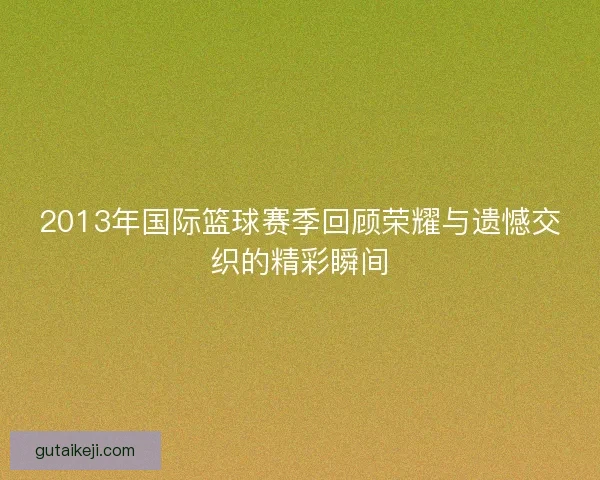 2013年国际篮球赛季回顾荣耀与遗憾交织的精彩瞬间