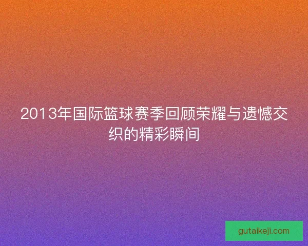2013年国际篮球赛季回顾荣耀与遗憾交织的精彩瞬间